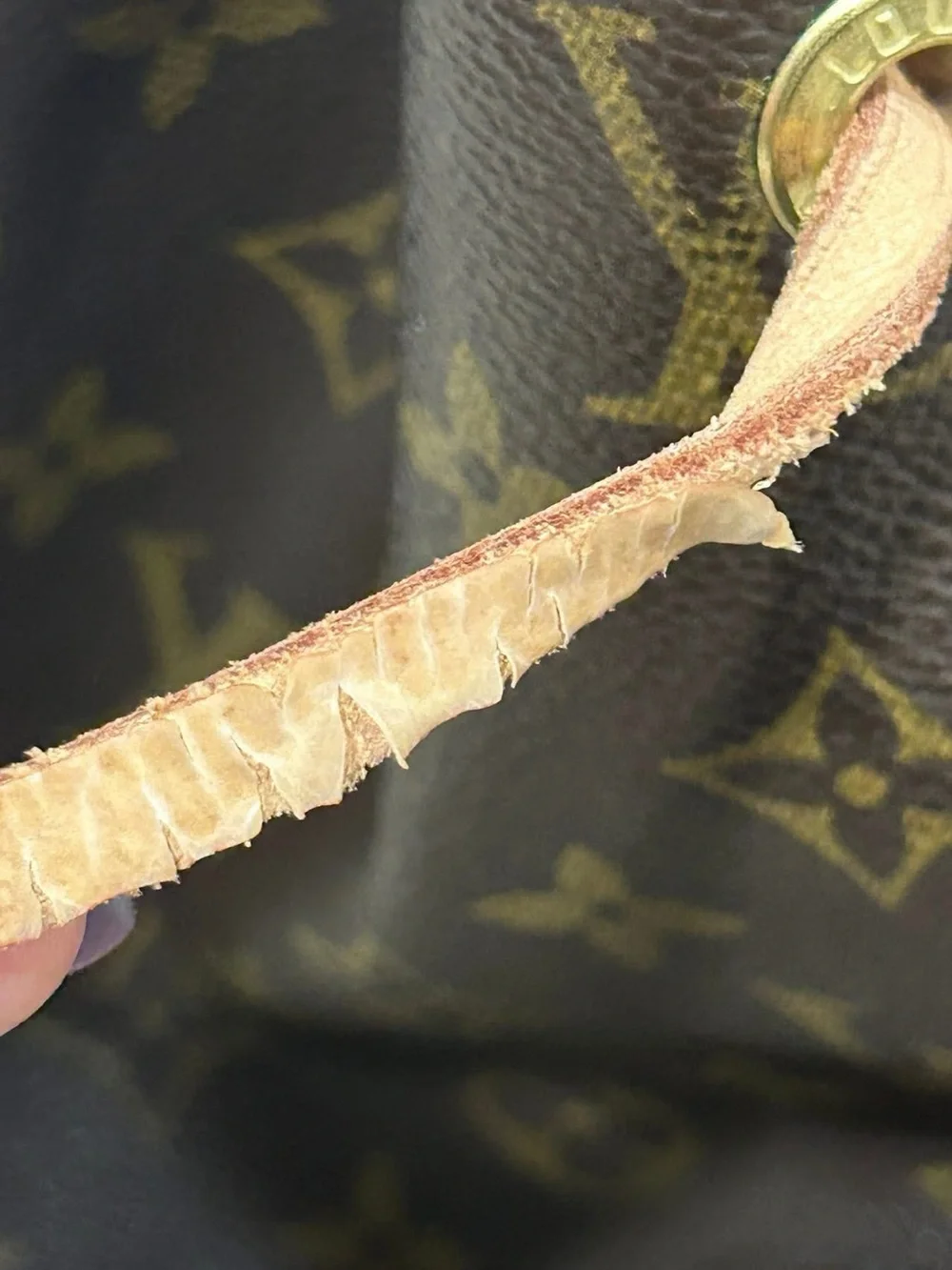 Louis Vuitton Montsouris MM Monogram Drawstring Backpack